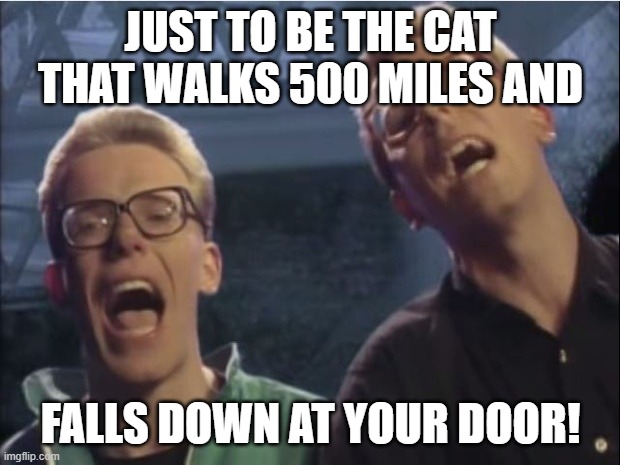 Proclaimers | JUST TO BE THE CAT THAT WALKS 500 MILES AND FALLS DOWN AT YOUR DOOR! | image tagged in proclaimers | made w/ Imgflip meme maker