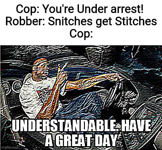 Understandable | Cop: You're Under arrest! 
Robber: Snitches get Stitches
Cop: | image tagged in memes,funny,fun,understandable have a great day | made w/ Imgflip meme maker