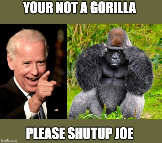 confused | YOUR NOT A GORILLA; PLEASE SHUTUP JOE | image tagged in gorilla headache | made w/ Imgflip meme maker