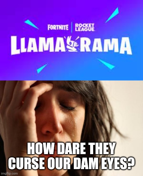 FORTNITE UPDATE ON MY 5TH FAV GAME? Im not accepting this but im accepting free rocket league which is on sept 23 2020 | HOW DARE THEY CURSE OUR DAM EYES? | image tagged in memes,first world problems | made w/ Imgflip meme maker