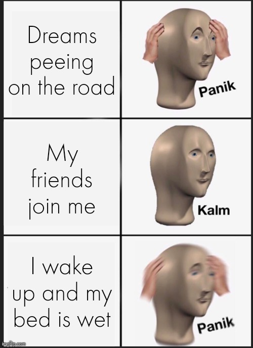 6 year old me | Dreams peeing on the road; My friends join me; I wake up and my bed is wet | image tagged in memes,panik kalm panik | made w/ Imgflip meme maker