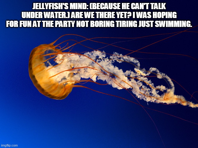 on-the-way-to-a-party jellyfish | JELLYFISH'S MIND: (BECAUSE HE CAN'T TALK UNDER WATER.) ARE WE THERE YET? I WAS HOPING FOR FUN AT THE PARTY NOT BORING TIRING JUST SWIMMING. | image tagged in funny meme | made w/ Imgflip meme maker