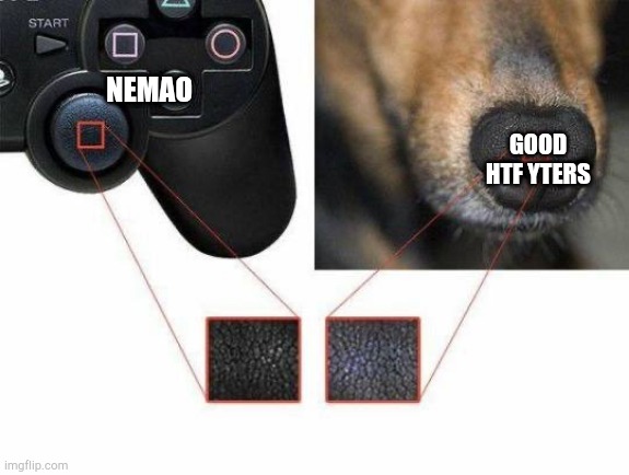 This is true |  NEMAO; GOOD HTF YTERS | image tagged in wut | made w/ Imgflip meme maker