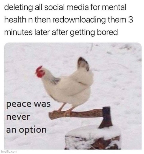 Revenge of the Chickens | image tagged in chicken | made w/ Imgflip meme maker