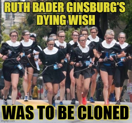 RUTH BADER GINSBURG'S 
DYING WISH; WAS TO BE CLONED | made w/ Imgflip meme maker