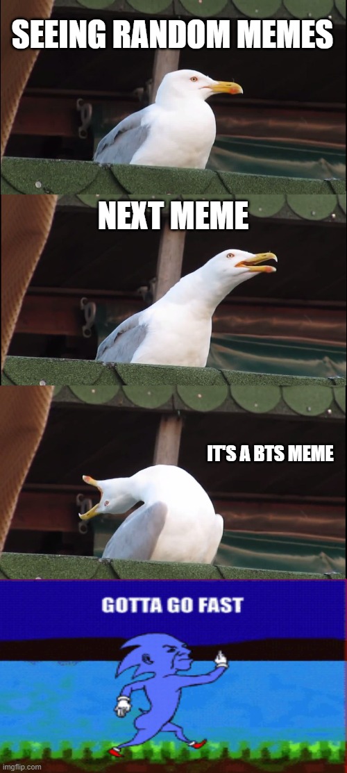 Inhaling Seagull Meme | SEEING RANDOM MEMES NEXT MEME IT'S A BTS MEME | image tagged in memes,inhaling seagull | made w/ Imgflip meme maker