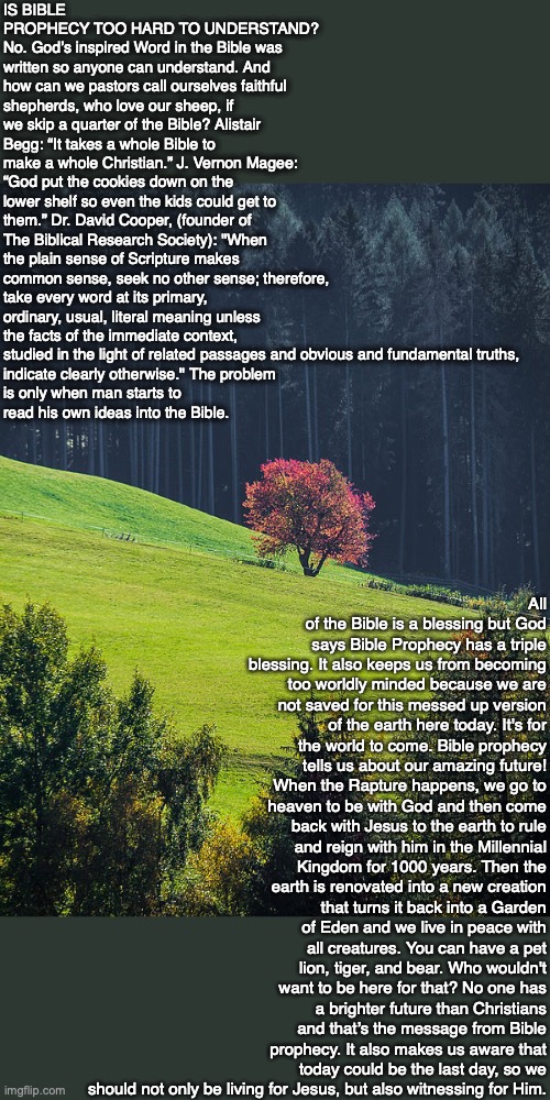 IS BIBLE PROPHECY TOO HARD TO UNDERSTAND? 
No. God’s inspired Word in the Bible was written so anyone can understand. And how can we pastors call ourselves faithful shepherds, who love our sheep, if we skip a quarter of the Bible? Alistair Begg: “It takes a whole Bible to make a whole Christian.” J. Vernon Magee: “God put the cookies down on the lower shelf so even the kids could get to them.” Dr. David Cooper, (founder of The Biblical Research Society): "When the plain sense of Scripture makes common sense, seek no other sense; therefore, take every word at its primary, ordinary, usual, literal meaning unless the facts of the immediate context, studied in the light of related passages and obvious and fundamental truths, 
indicate clearly otherwise." The problem
is only when man starts to
read his own ideas into the Bible. All of the Bible is a blessing but God says Bible Prophecy has a triple blessing. It also keeps us from becoming too worldly minded because we are not saved for this messed up version of the earth here today. It's for the world to come. Bible prophecy tells us about our amazing future! When the Rapture happens, we go to heaven to be with God and then come back with Jesus to the earth to rule and reign with him in the Millennial Kingdom for 1000 years. Then the earth is renovated into a new creation that turns it back into a Garden of Eden and we live in peace with all creatures. You can have a pet lion, tiger, and bear. Who wouldn't want to be here for that? No one has a brighter future than Christians and that’s the message from Bible prophecy. It also makes us aware that today could be the last day, so we should not only be living for Jesus, but also witnessing for Him. | image tagged in future,bible,prophecy,jesus,god | made w/ Imgflip meme maker