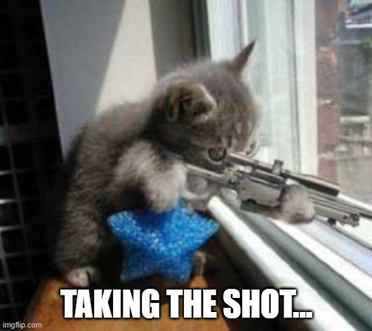 CatSniper | TAKING THE SHOT... | image tagged in catsniper | made w/ Imgflip meme maker