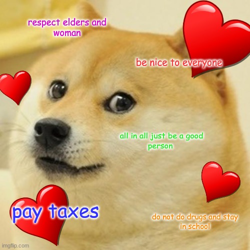 doge being a GOOD DOGO be like doge plz | respect elders and 
woman; be nice to everyone; all in all just be a good
person; pay taxes; do not do drugs and stay
in school | image tagged in memes,doge | made w/ Imgflip meme maker