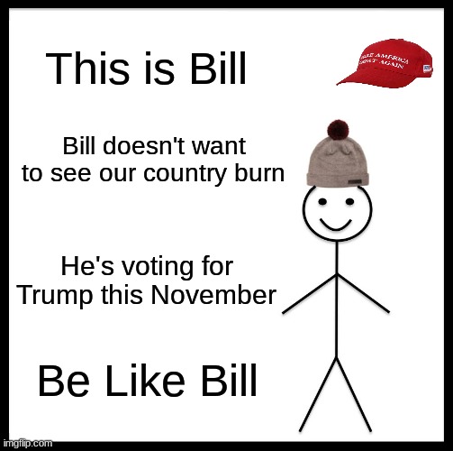 trump 2020 | This is Bill; Bill doesn't want to see our country burn; He's voting for Trump this November; Be Like Bill | image tagged in memes,be like bill,trump 2020,vote for trump,donald trump,have some common sense | made w/ Imgflip meme maker