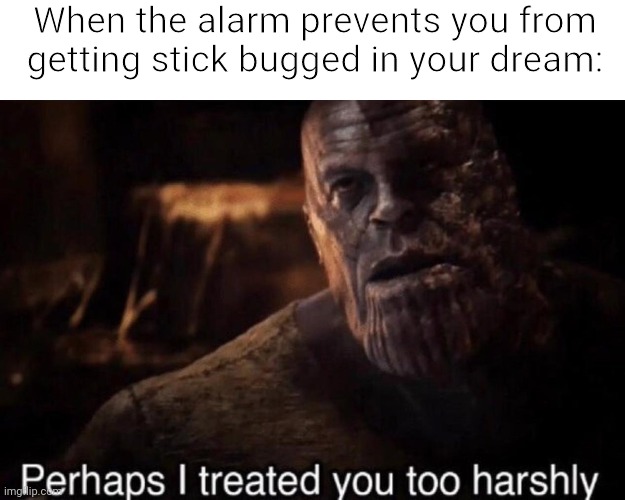 Perhaps I treated you too harshly | When the alarm prevents you from getting stick bugged in your dream: | image tagged in perhaps i treated you too harshly | made w/ Imgflip meme maker