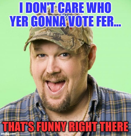 Larry the Cable Guy | I DON'T CARE WHO YER GONNA VOTE FER... THAT'S FUNNY RIGHT THERE | image tagged in larry the cable guy | made w/ Imgflip meme maker