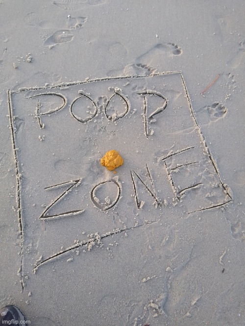 Poop Zone | image tagged in poop,dog poop,beach,zone | made w/ Imgflip meme maker