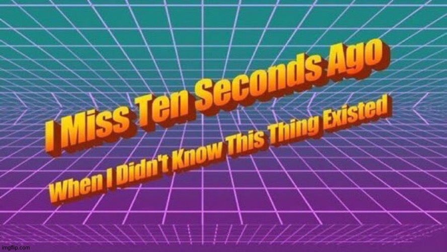 I miss ten seconds ago | image tagged in i miss ten seconds ago | made w/ Imgflip meme maker