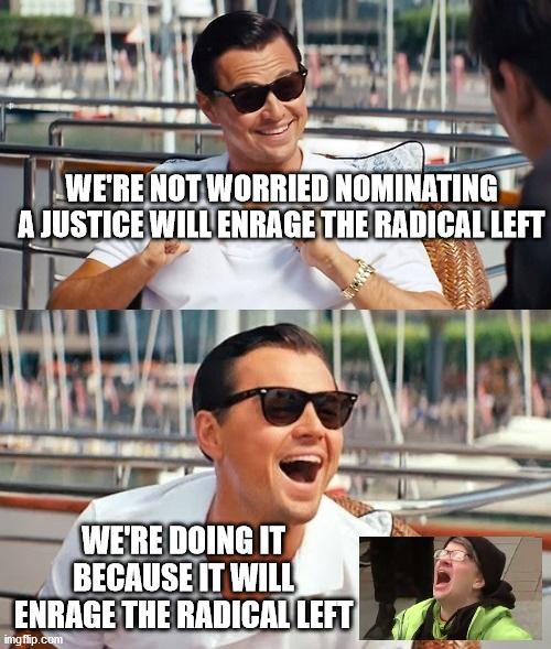 We enjoy sky screamers | WE'RE NOT WORRIED NOMINATING A JUSTICE WILL ENRAGE THE RADICAL LEFT; WE'RE DOING IT BECAUSE IT WILL ENRAGE THE RADICAL LEFT | image tagged in memes,leonardo dicaprio wolf of wall street,tds,scream at sky | made w/ Imgflip meme maker