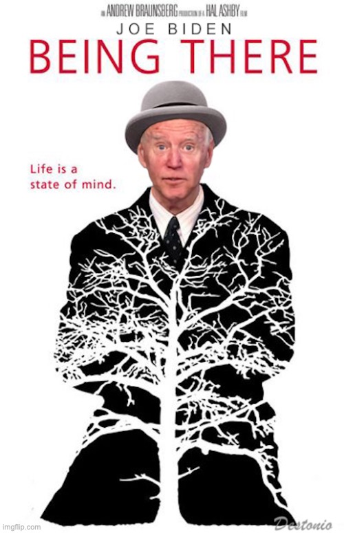 image tagged in joe biden,election 2020 | made w/ Imgflip meme maker