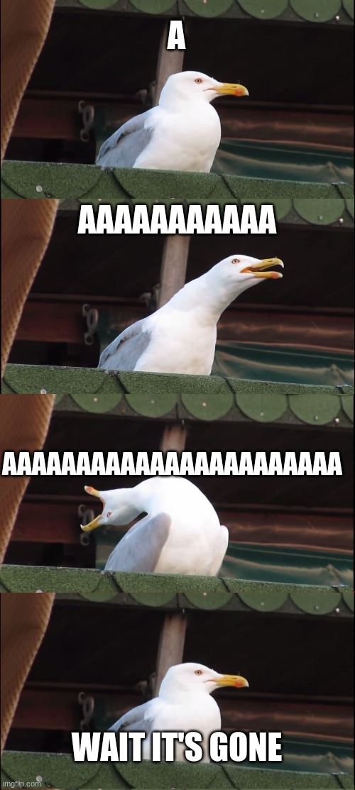 CAN YOU RELATE 2/10 | A; AAAAAAAAAAA; AAAAAAAAAAAAAAAAAAAAAAA; WAIT IT'S GONE | image tagged in memes,inhaling seagull | made w/ Imgflip meme maker