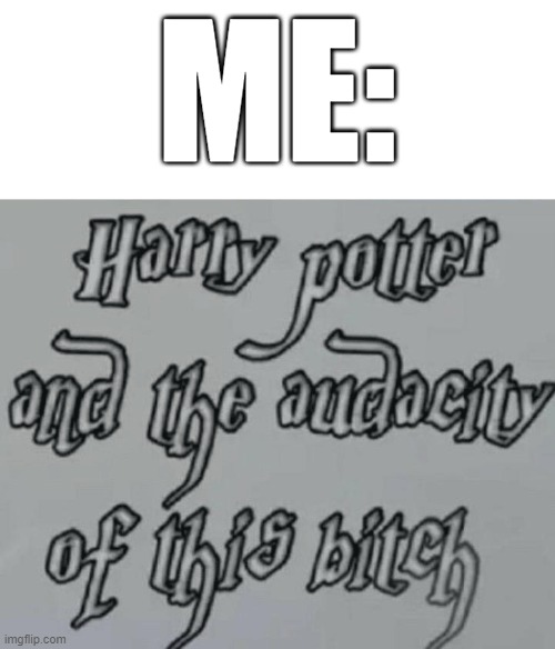 Harry Potter and the audacity | ME: | image tagged in harry potter and the audacity | made w/ Imgflip meme maker