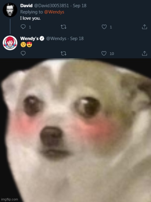 I ship it 100% | image tagged in memes,twitter,wendy's,oh wow are you actually reading these tags | made w/ Imgflip meme maker
