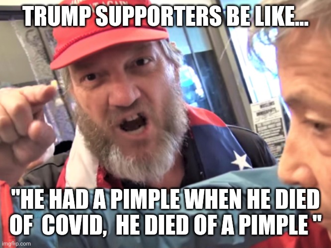 Covidiots | TRUMP SUPPORTERS BE LIKE... "HE HAD A PIMPLE WHEN HE DIED OF  COVID,  HE DIED OF A PIMPLE " | image tagged in trump supporters,covidiots,covid19,coronavirus,election 2020,joe biden | made w/ Imgflip meme maker