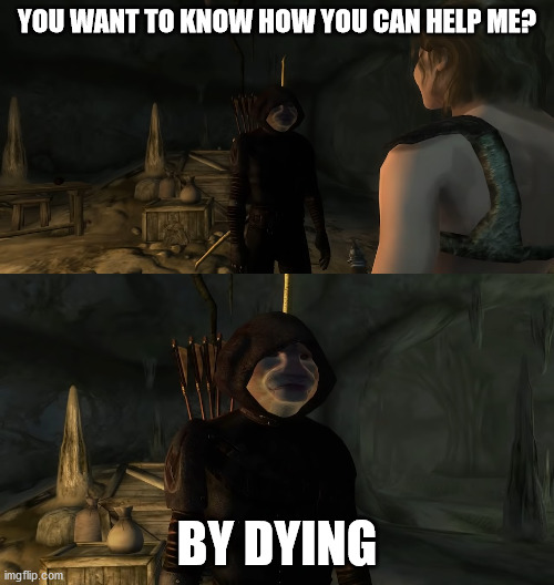Help Autism Cat By Dying | YOU WANT TO KNOW HOW YOU CAN HELP ME? BY DYING | image tagged in help autism cat,autism cat,elder scrolls,oblivion,dark brotherhood | made w/ Imgflip meme maker