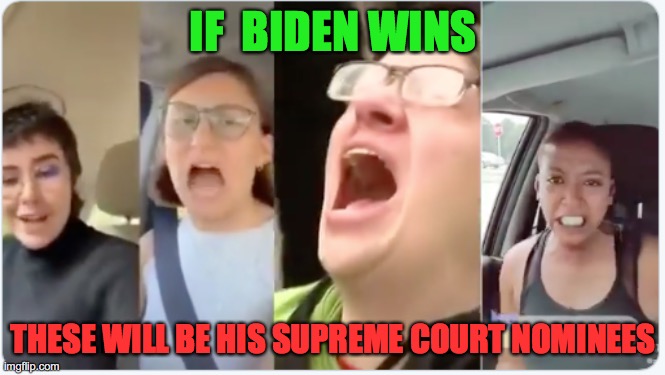 Biden nominees for Supreme Court. | IF  BIDEN WINS; THESE WILL BE HIS SUPREME COURT NOMINEES | image tagged in freak out,liberals loons,biden nominees | made w/ Imgflip meme maker