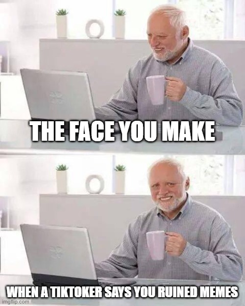 Hide the Pain Harold Meme | THE FACE YOU MAKE; WHEN A TIKTOKER SAYS YOU RUINED MEMES | image tagged in memes,hide the pain harold | made w/ Imgflip meme maker