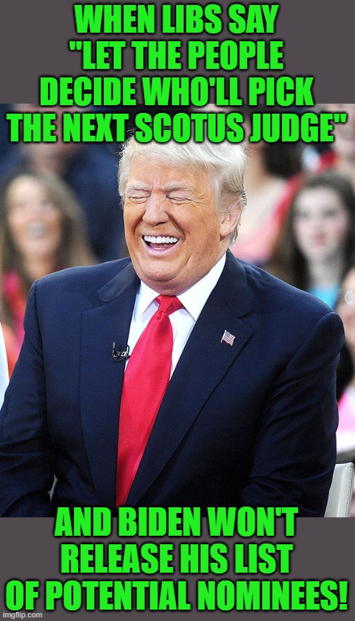 Oh the humanity! | WHEN LIBS SAY "LET THE PEOPLE DECIDE WHO'LL PICK THE NEXT SCOTUS JUDGE"; AND BIDEN WON'T RELEASE HIS LIST OF POTENTIAL NOMINEES! | image tagged in trump laughing,supreme court,judge | made w/ Imgflip meme maker