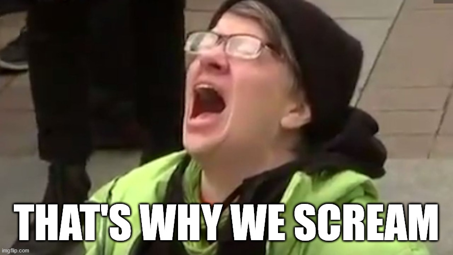 Screaming Liberal  | THAT'S WHY WE SCREAM | image tagged in screaming liberal | made w/ Imgflip meme maker