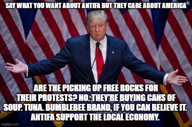 Cans of soup. Tuna cans. | SAY WHAT YOU WANT ABOUT ANTIFA BUT THEY CARE ABOUT AMERICA; ARE THE PICKING UP FREE ROCKS FOR THEIR PROTESTS? NO. THEY'RE BUYING CANS OF SOUP. TUNA. BUMBLEBEE BRAND, IF YOU CAN BELIEVE IT. 
ANTIFA SUPPORT THE LOCAL ECONOMY. | image tagged in donald trump | made w/ Imgflip meme maker
