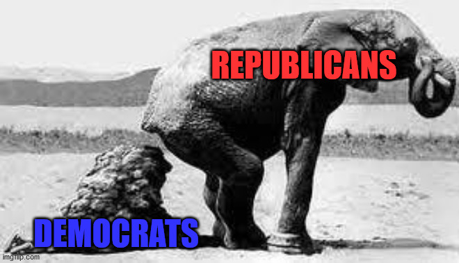 Elephant Poopy | REPUBLICANS DEMOCRATS | image tagged in elephant poopy | made w/ Imgflip meme maker