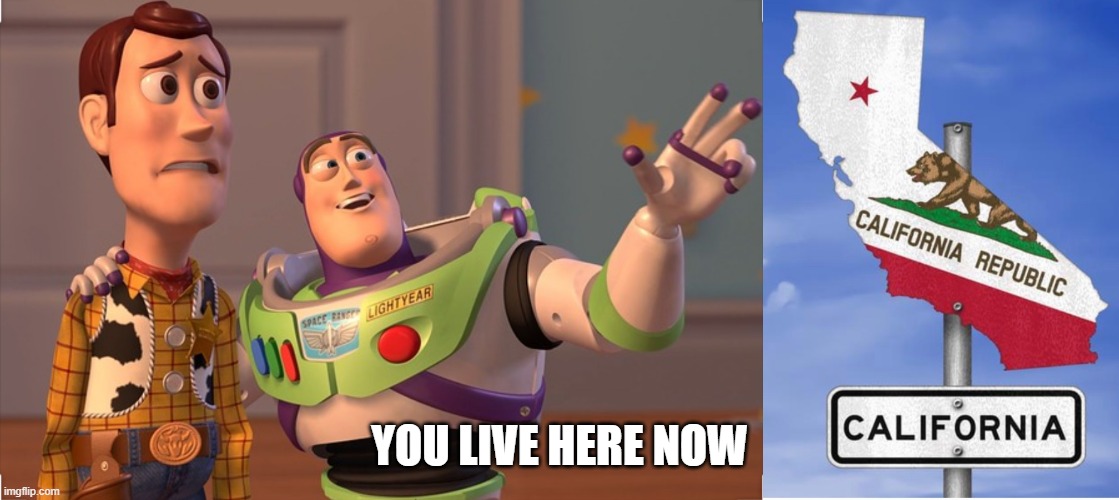 Buzz Kill | YOU LIVE HERE NOW | image tagged in moving,california,woody,buzz lightyear | made w/ Imgflip meme maker
