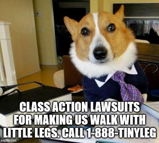 Lawyer Corgi Dog | CLASS ACTION LAWSUITS FOR MAKING US WALK WITH LITTLE LEGS. CALL 1-888-TINYLEG | image tagged in lawyer corgi dog | made w/ Imgflip meme maker