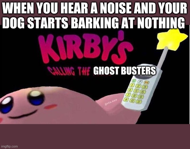 Kirby's calling the Police | WHEN YOU HEAR A NOISE AND YOUR; DOG STARTS BARKING AT NOTHING; GHOST BUSTERS | image tagged in kirby's calling the police | made w/ Imgflip meme maker