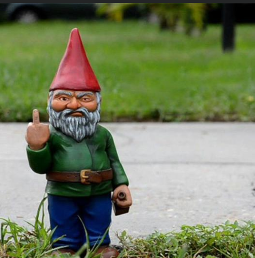 High Quality Gnome Blank Meme Template