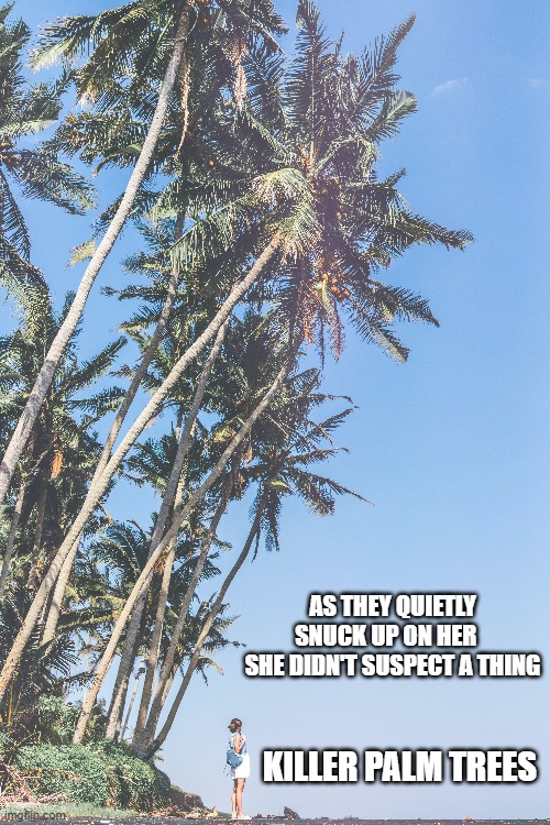 I couldn't bear to watch what happens next... | AS THEY QUIETLY SNUCK UP ON HER    SHE DIDN'T SUSPECT A THING; KILLER PALM TREES | image tagged in memes,funny memes,trees,beach,day at the beach,beach babe | made w/ Imgflip meme maker