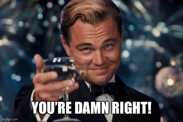 Leonardo Dicaprio Cheers Meme | YOU’RE DAMN RIGHT! | image tagged in memes,leonardo dicaprio cheers | made w/ Imgflip meme maker