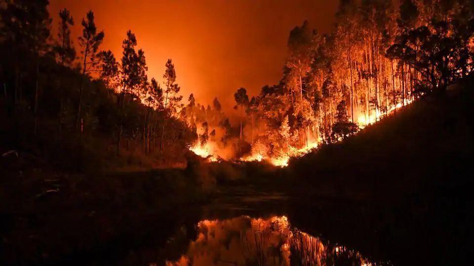 Manmade global warming forest fire Blank Meme Template