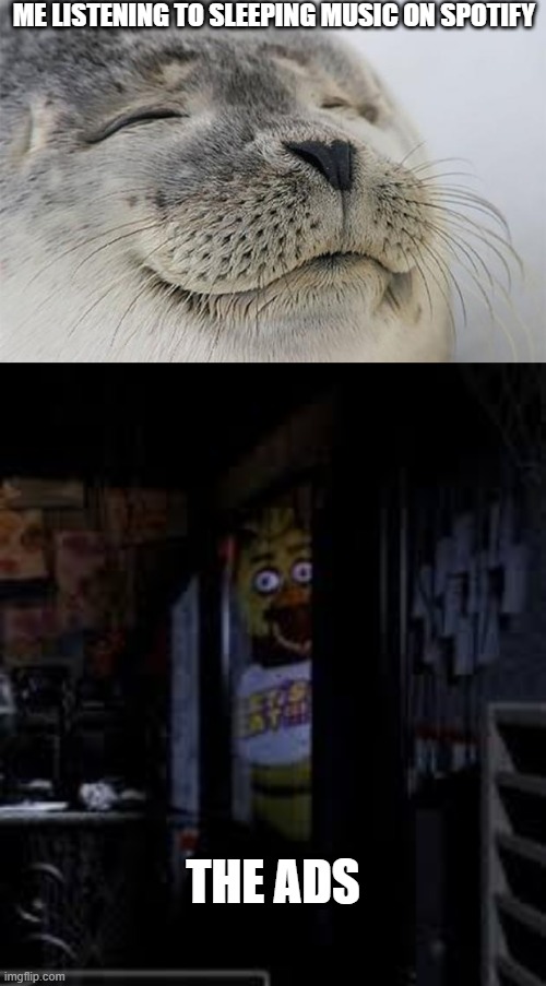 WeLcoME tO VeRiSon | ME LISTENING TO SLEEPING MUSIC ON SPOTIFY; THE ADS | image tagged in chica looking in window fnaf,memes,satisfied seal | made w/ Imgflip meme maker