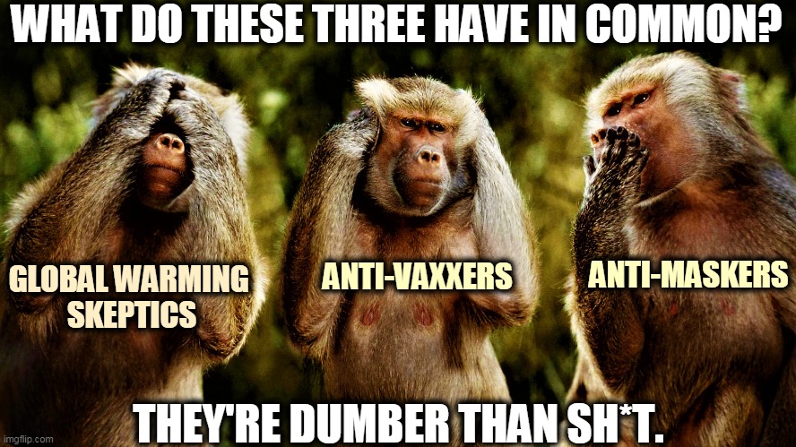 But there are people even dumber. QAnon. Proud Boyz. | WHAT DO THESE THREE HAVE IN COMMON? ANTI-MASKERS; ANTI-VAXXERS; GLOBAL WARMING 
SKEPTICS; THEY'RE DUMBER THAN SH*T. | image tagged in monkey version of see no evil hear no evil speak no evil,global warming,anti-vaxx,unmasked,qanon | made w/ Imgflip meme maker