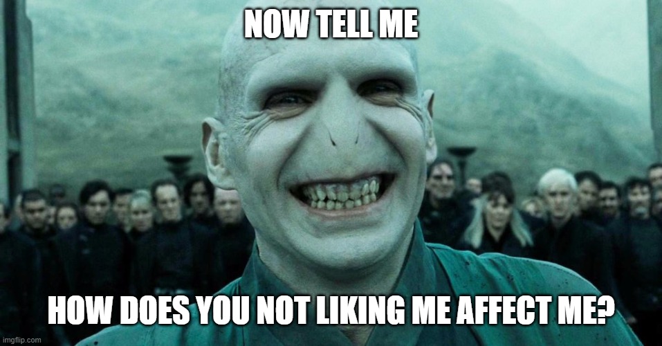 Savage Harry Potter joke | NOW TELL ME HOW DOES YOU NOT LIKING ME AFFECT ME? | image tagged in savage harry potter joke | made w/ Imgflip meme maker
