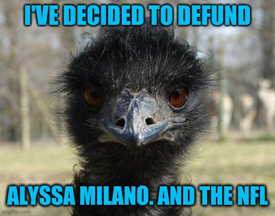 Bad News Emu | I'VE DECIDED TO DEFUND ALYSSA MILANO. AND THE NFL | image tagged in bad news emu | made w/ Imgflip meme maker