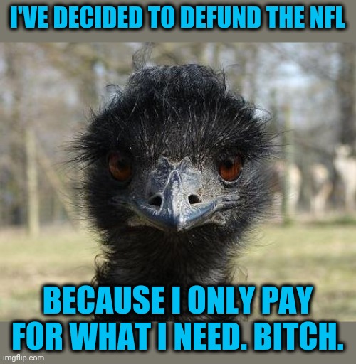 Liberty Biberty | I'VE DECIDED TO DEFUND THE NFL; BECAUSE I ONLY PAY FOR WHAT I NEED. BITCH. | image tagged in bad news emu,defund the nfl | made w/ Imgflip meme maker