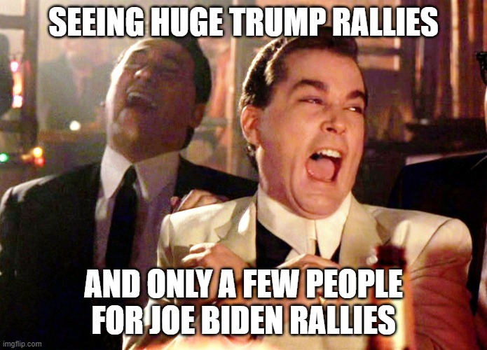 Trump and Biden | SEEING HUGE TRUMP RALLIES; AND ONLY A FEW PEOPLE FOR JOE BIDEN RALLIES | image tagged in memes,good fellas hilarious,trump rally,biden,joe biden,donald trump | made w/ Imgflip meme maker