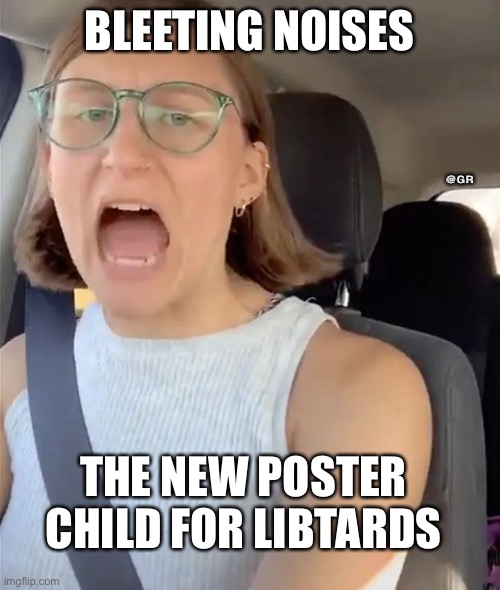 Unhinged Liberal Lunatic Idiot Woman Meltdown Screaming in Car | BLEETING NOISES; @GR; THE NEW POSTER CHILD FOR LIBTARDS | image tagged in unhinged liberal lunatic idiot woman meltdown screaming in car | made w/ Imgflip meme maker