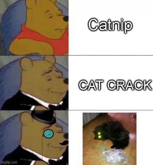 Cat drugs | Catnip; CAT CRACK | image tagged in fancy pooh | made w/ Imgflip meme maker