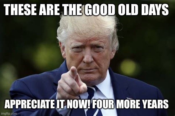 These are the good years | THESE ARE THE GOOD OLD DAYS; APPRECIATE IT NOW! FOUR MORE YEARS | image tagged in president,president trump,winning | made w/ Imgflip meme maker