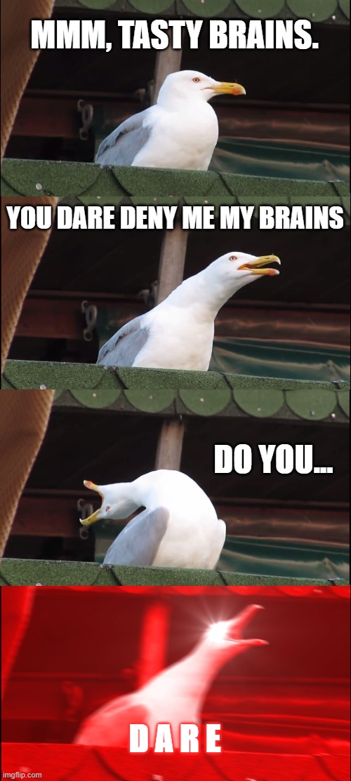 Inhaling Seagull Meme | MMM, TASTY BRAINS. YOU DARE DENY ME MY BRAINS DO YOU... D A R E | image tagged in memes,inhaling seagull | made w/ Imgflip meme maker