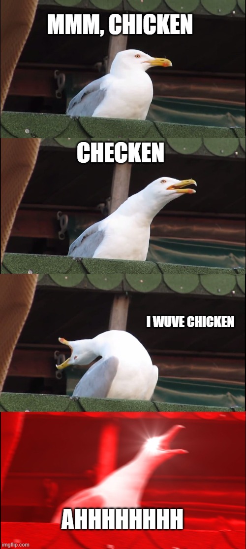 checkin | MMM, CHICKEN; CHECKEN; I WUVE CHICKEN; AHHHHHHHH | image tagged in memes,inhaling seagull | made w/ Imgflip meme maker