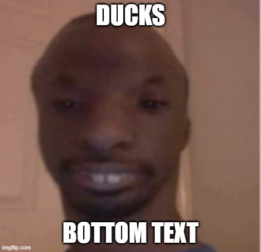 DUCKS; BOTTOM TEXT | image tagged in faes | made w/ Imgflip meme maker